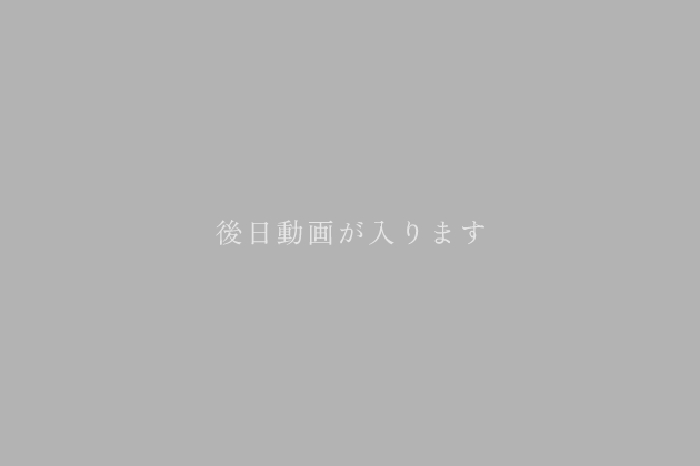 動画が入ります